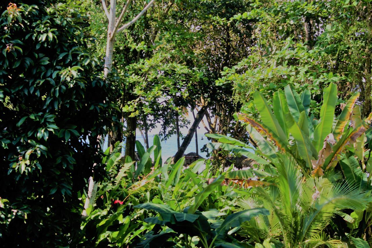 Casa Natural Puerto Viejo Hotel Puerto Viejo de Talamanca Buitenkant foto